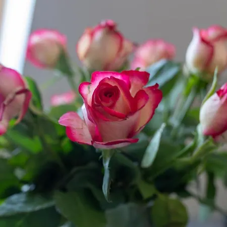 Park A27-z Dostepem Do Basenu, Sauny, Jacuzzi, Silowni *