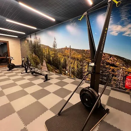 Apart Invest Green Park Resort A27-Z Dostepem Do Strefy Spa * Sklářská Poruba